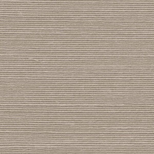 Papel de Parede Agave