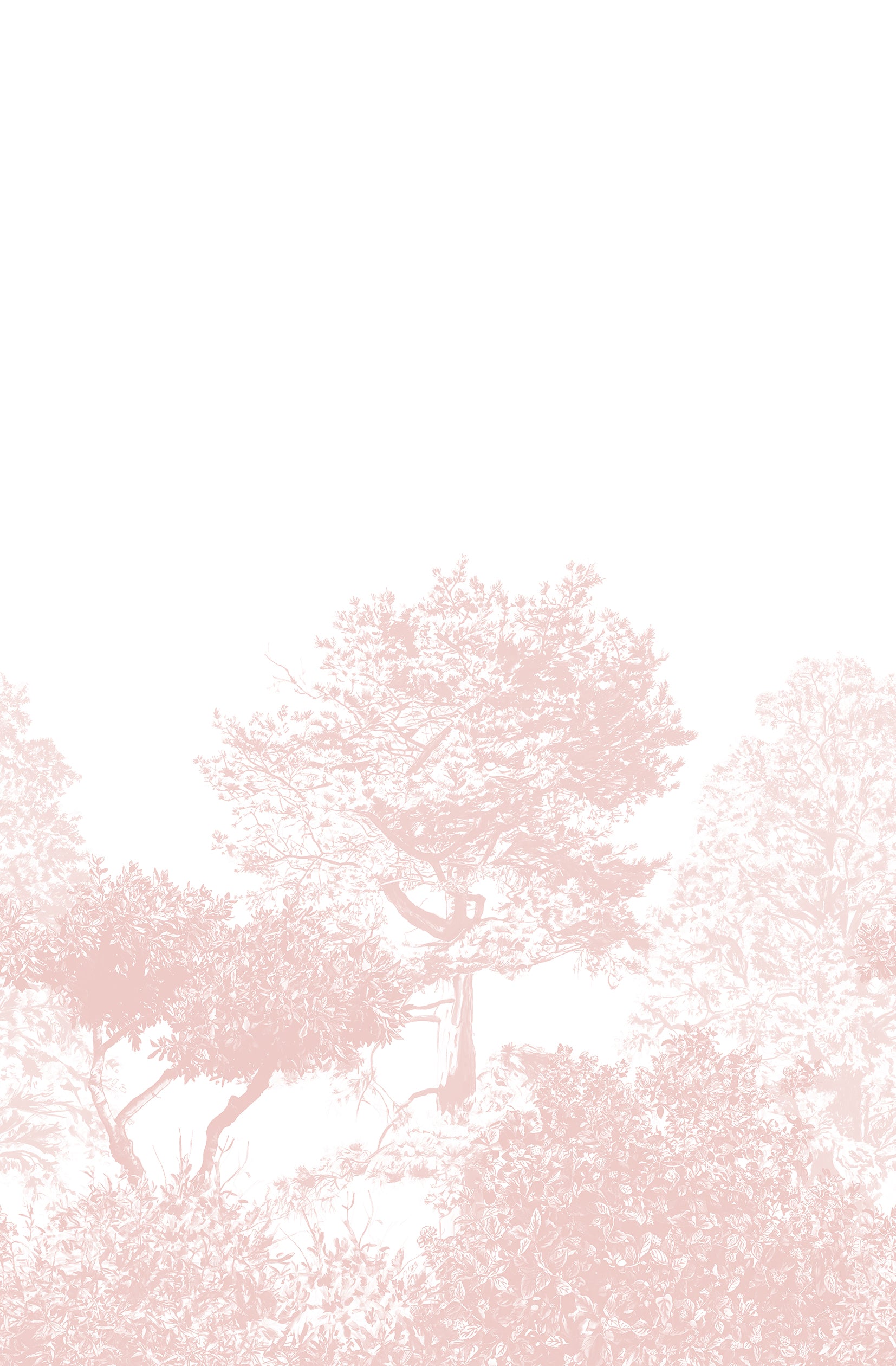 Mural Papel de Parede, Hua Trees