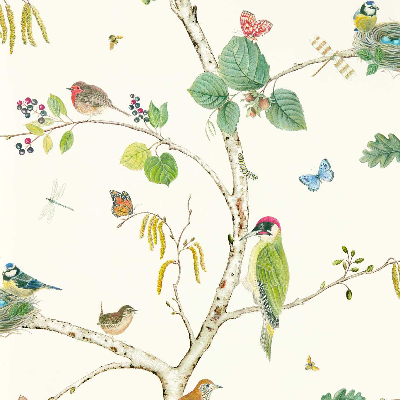 Papel de Parede, Woodland Chorus
