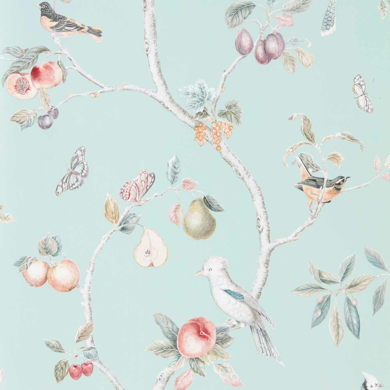 Papel de Parede, Fruit Aviary