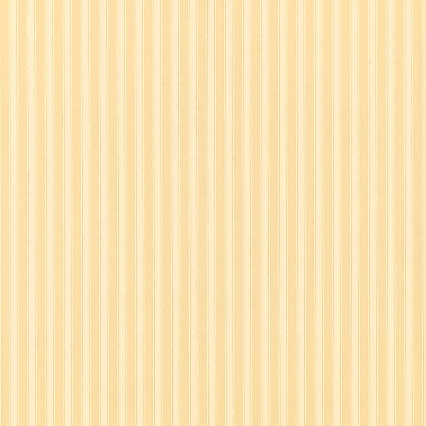 Papel de Parede, New Tiger Stripe