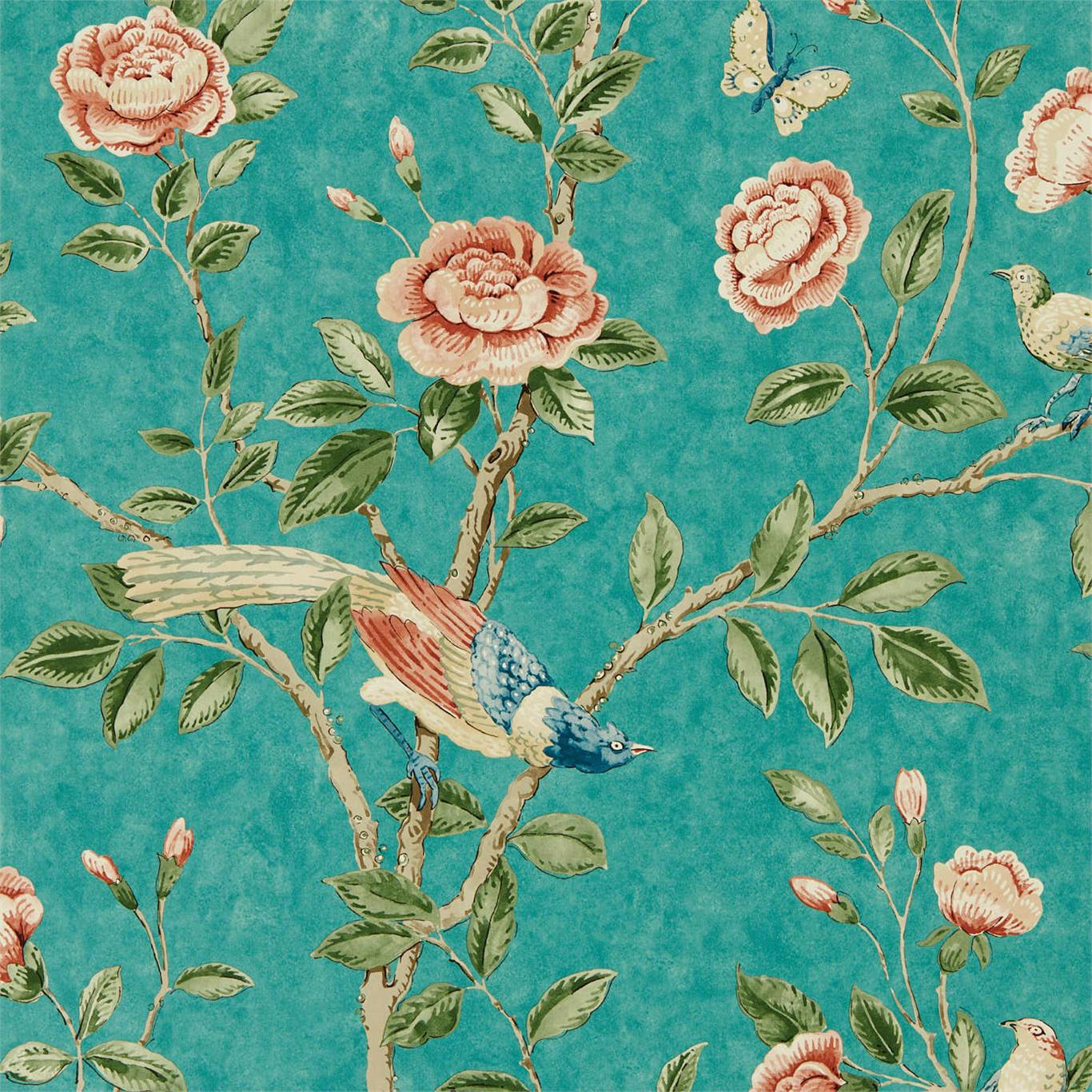 Papel de Parede, Andhara