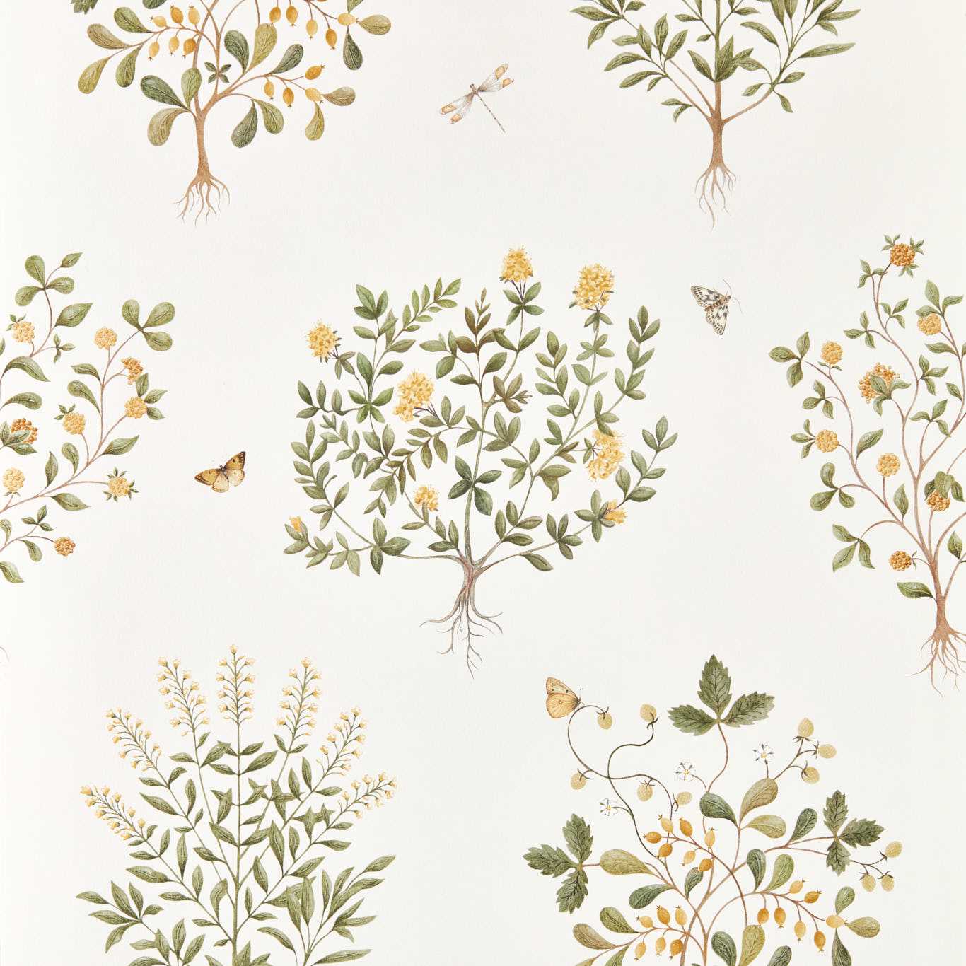 Papel de Parede, Thyme Walk