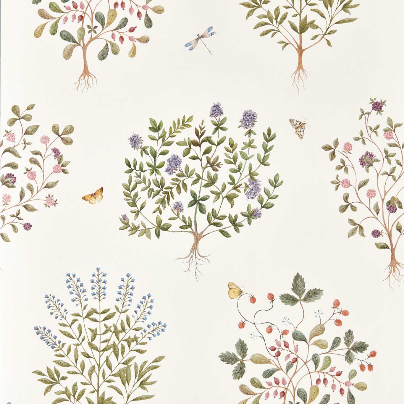 Papel de Parede, Thyme Walk