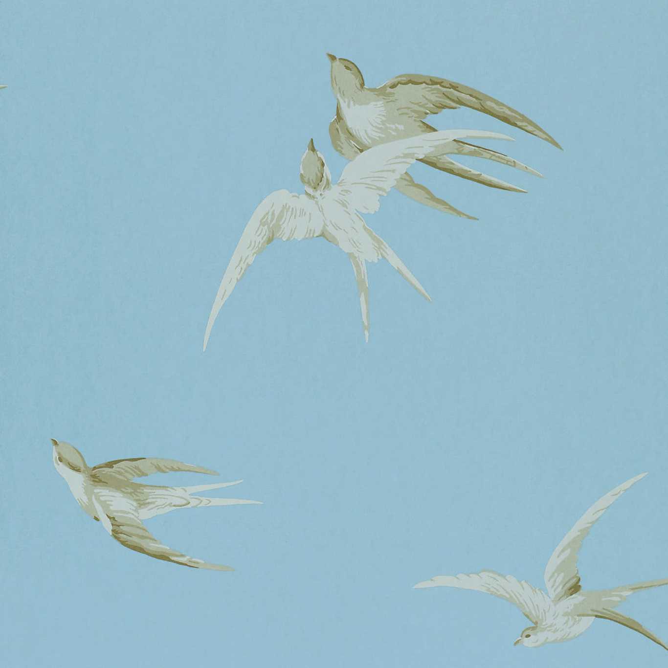 Papel de Parede, Swallows