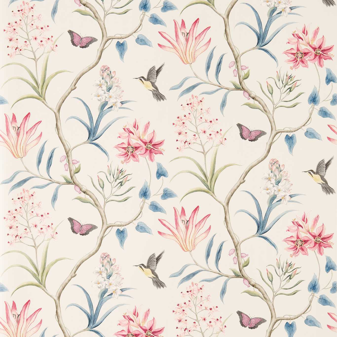 Papel de Parede, Clementine