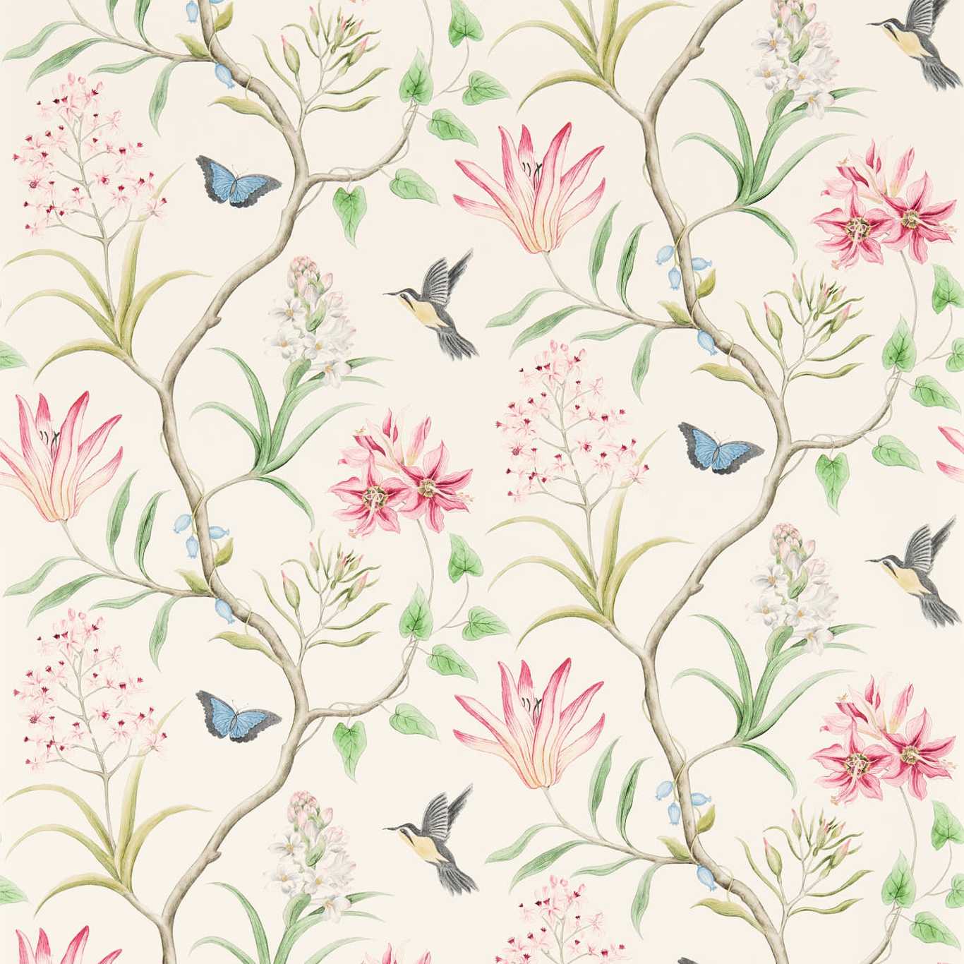 Papel de Parede, Clementine