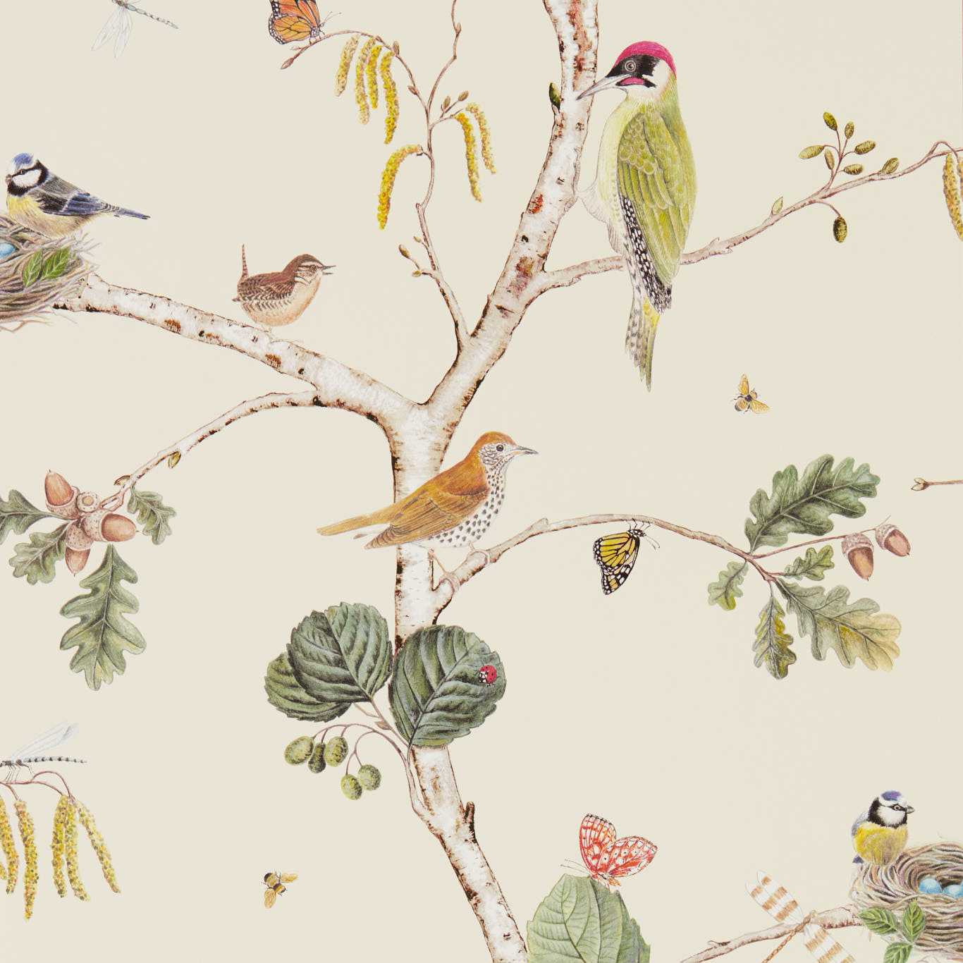 Papel de Parede, Woodland Chorus