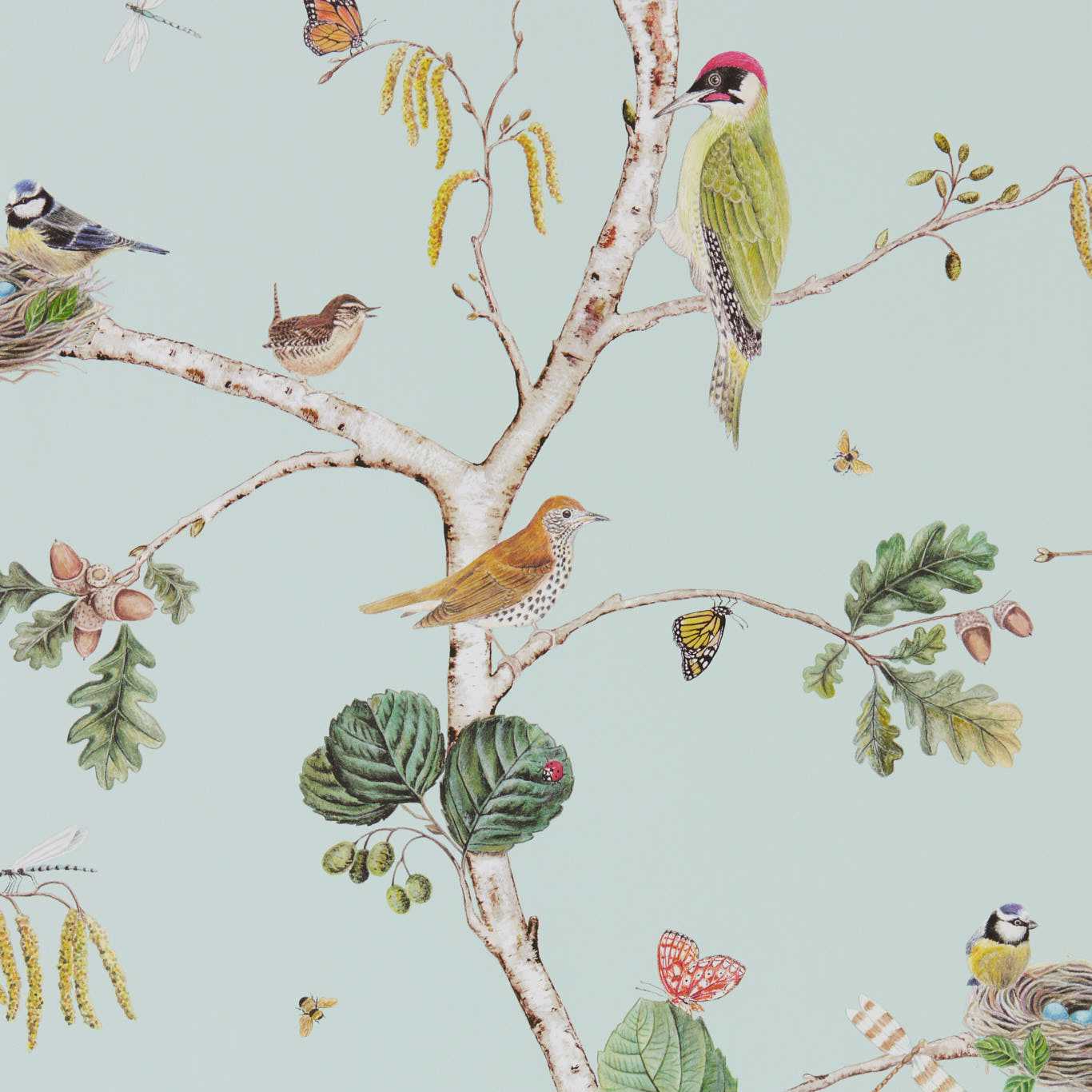 Papel de Parede, Woodland Chorus