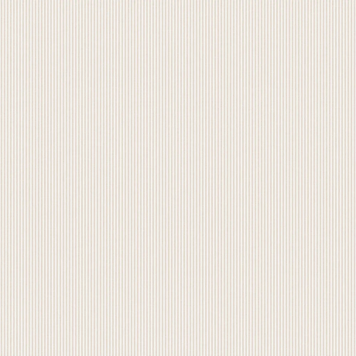 Papel de Parede Rand