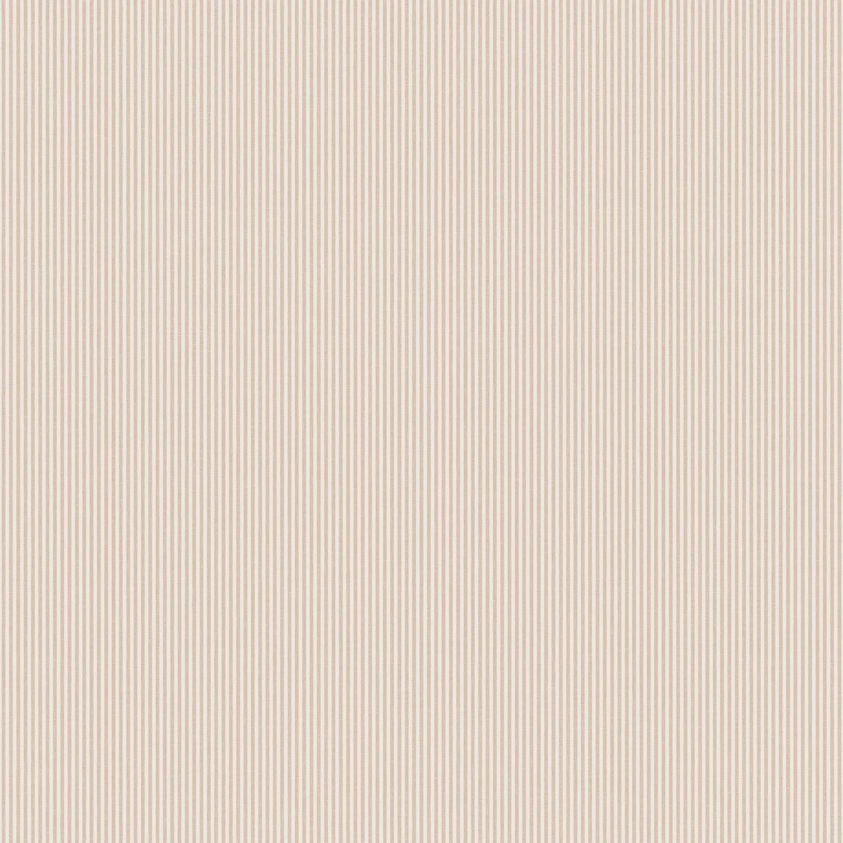 Papel de Parede Rand
