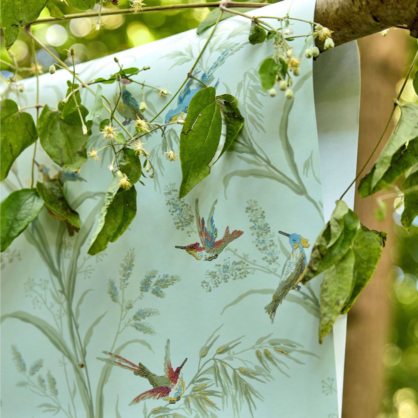 Papel de Parede, Tuileries