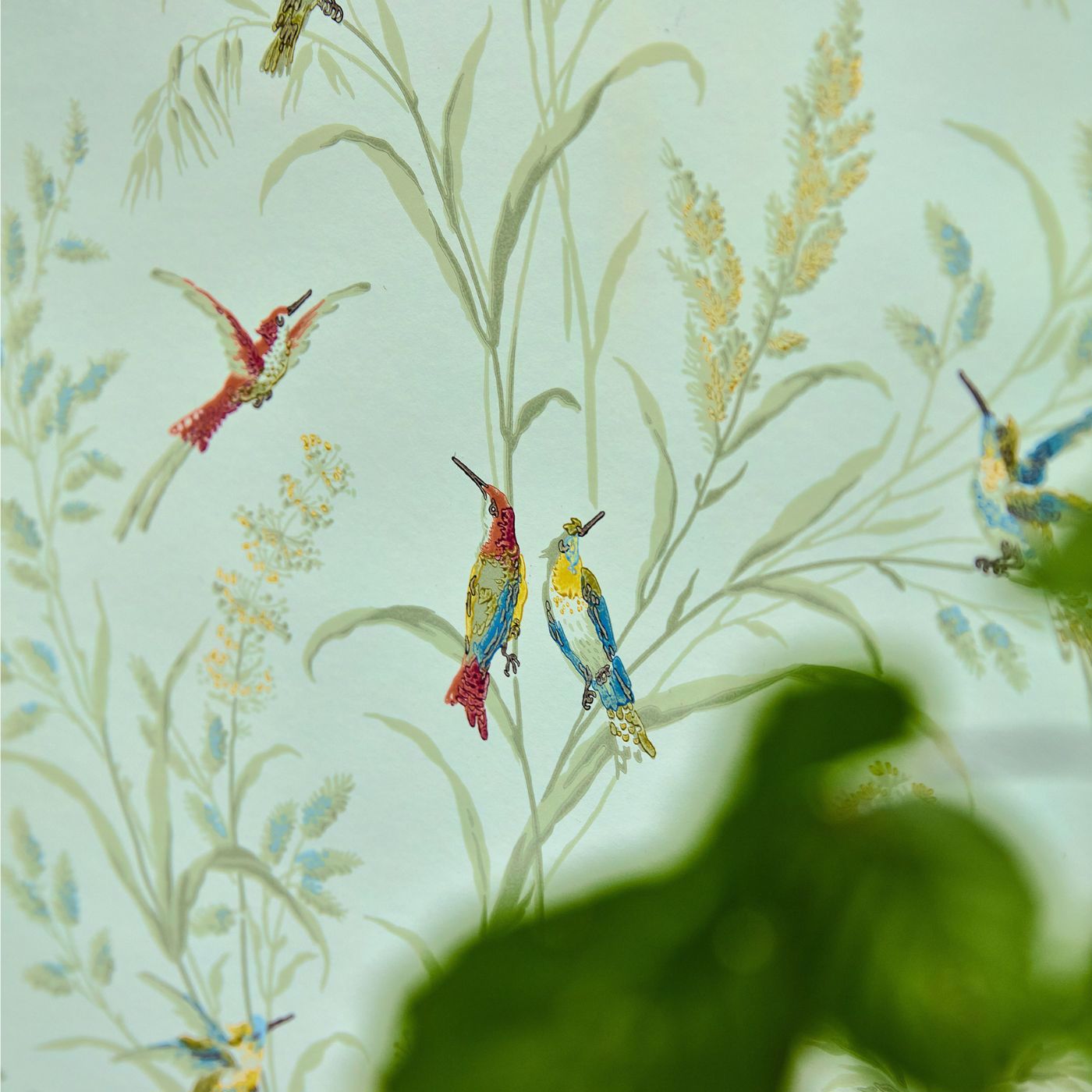 Papel de Parede, Tuileries