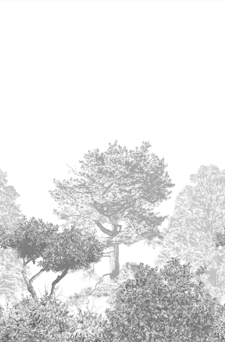 Mural Papel de Parede, Hua Trees