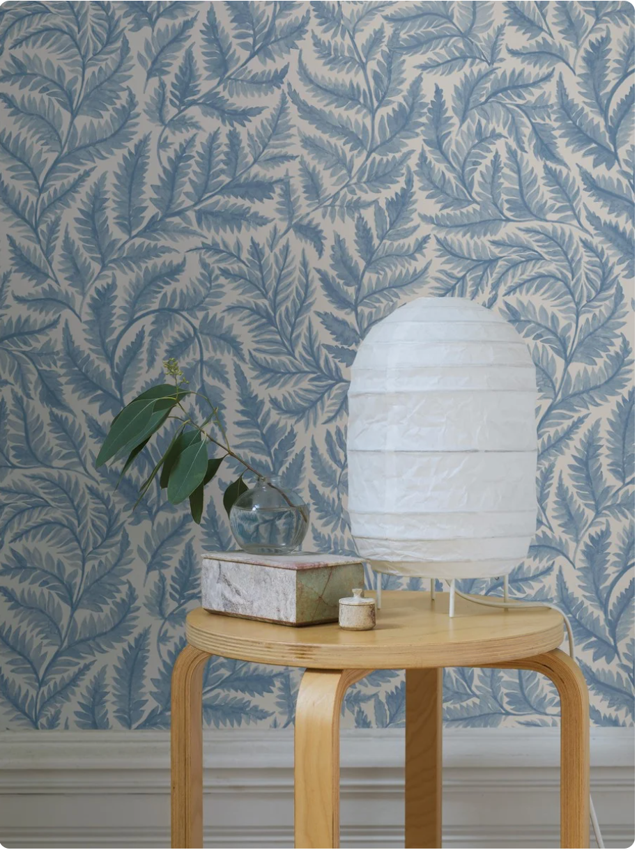 Ferns