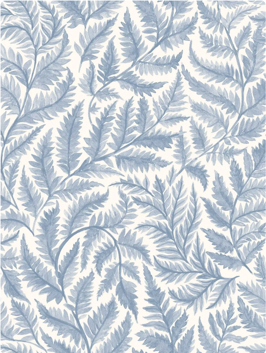 Ferns