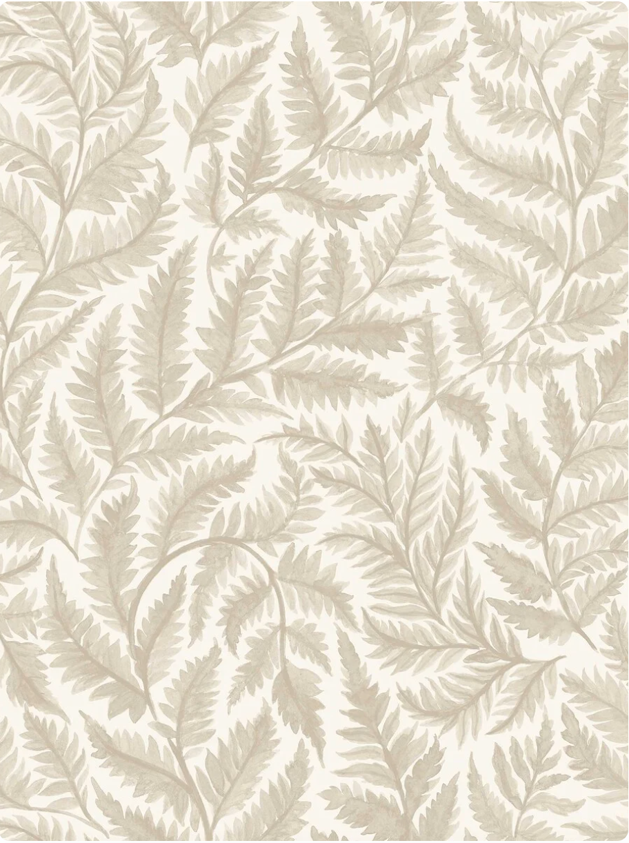 Ferns