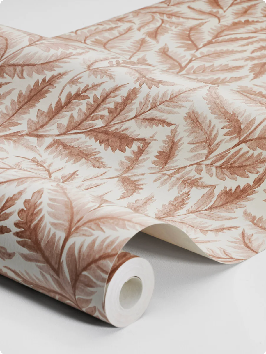 Ferns