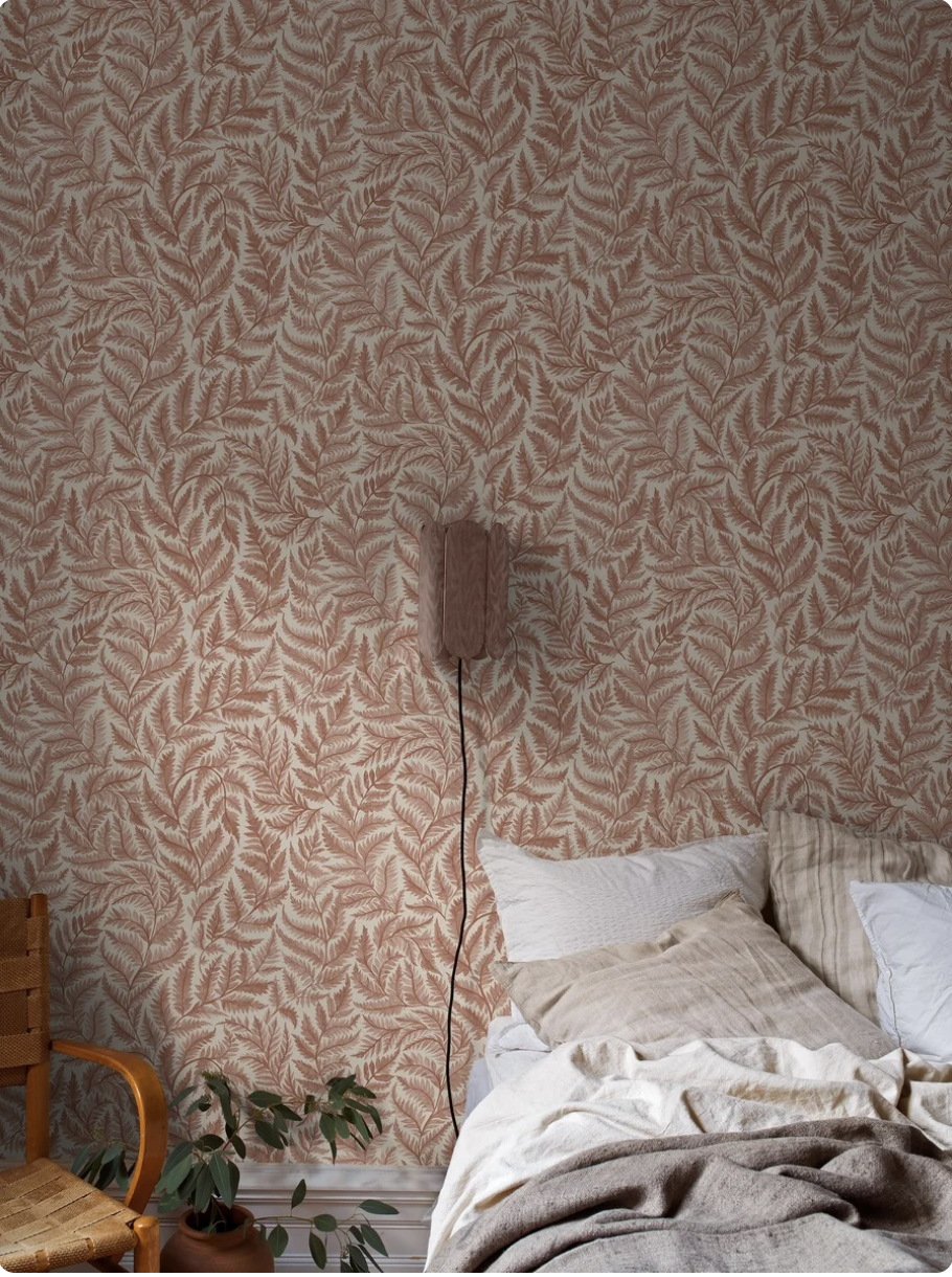 Ferns