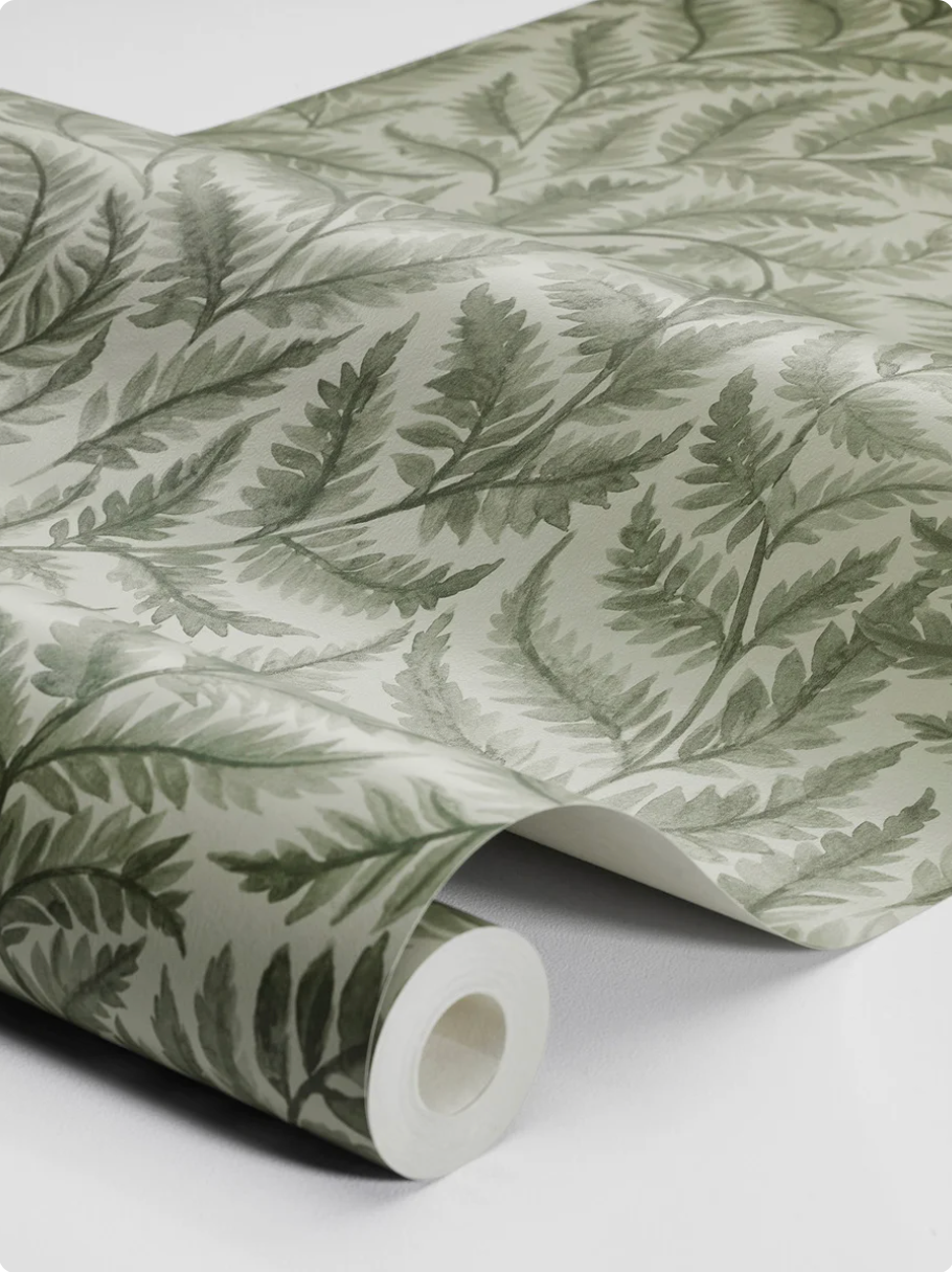 Ferns