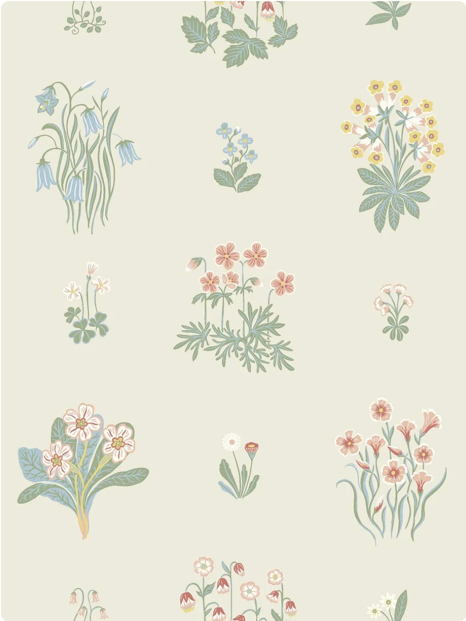 Ängsflora