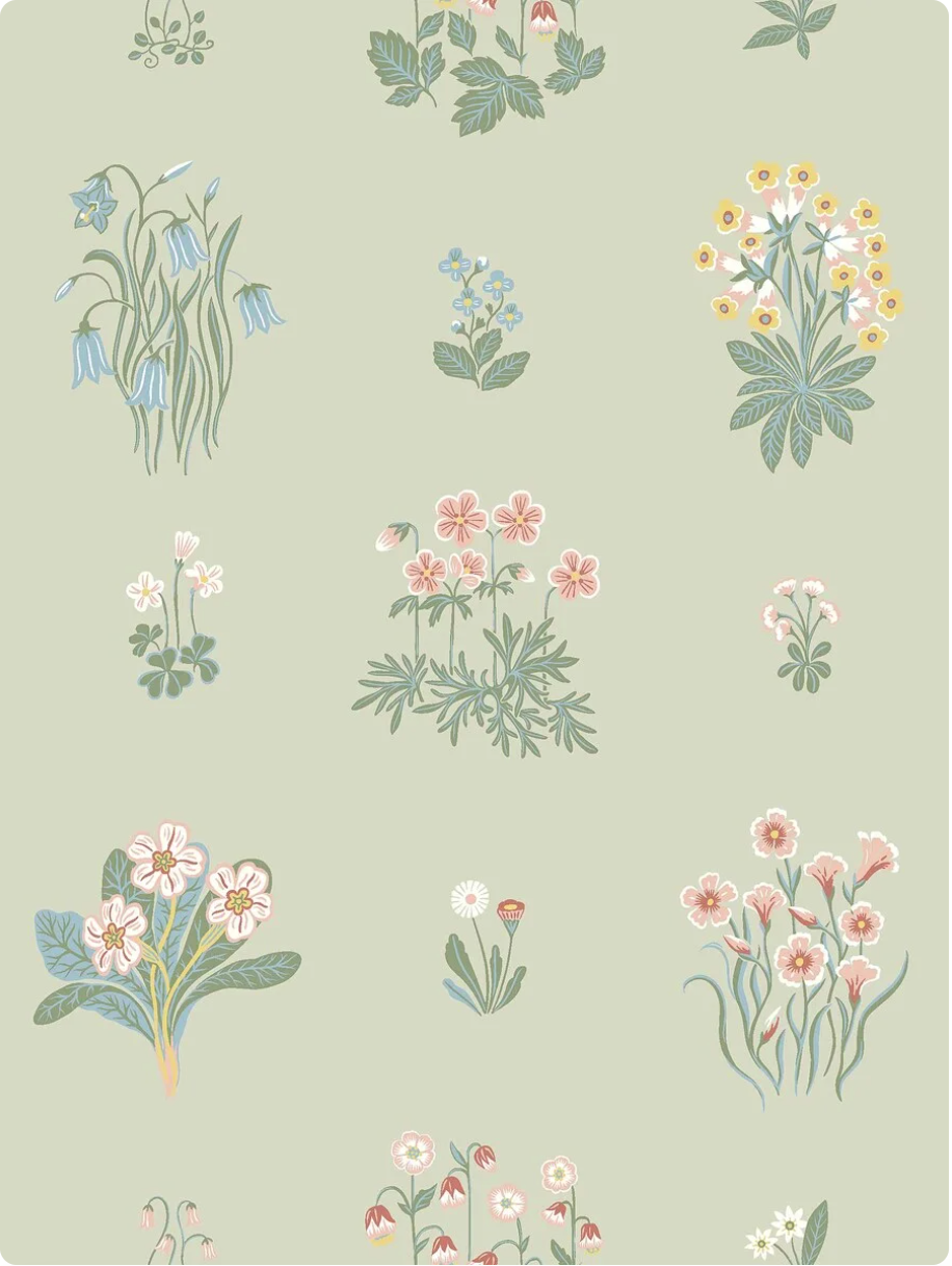Ängsflora