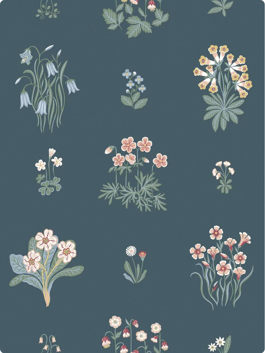 Ängsflora