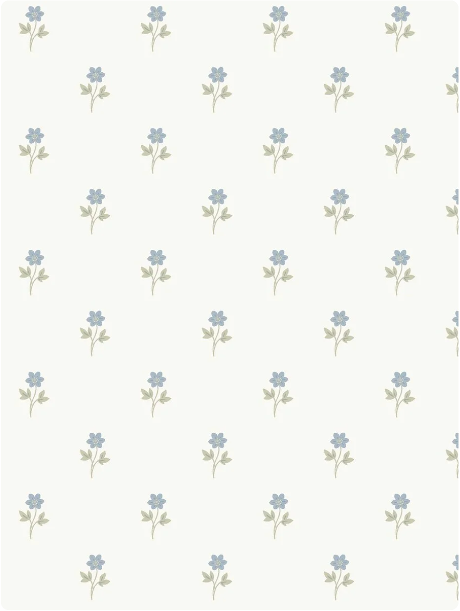 Anemone