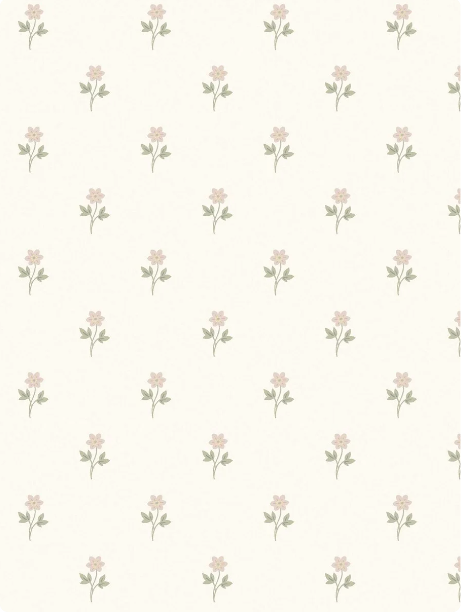 Anemone