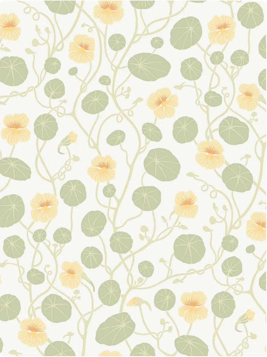 Papel de Parede, Krasse