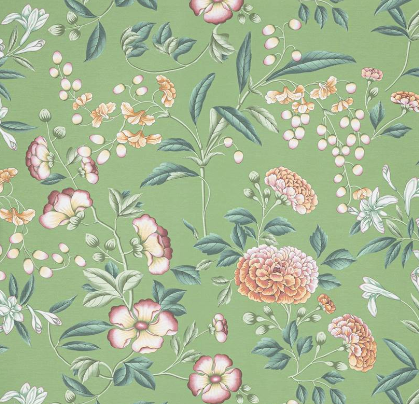 Papel de Parede, Coromandel