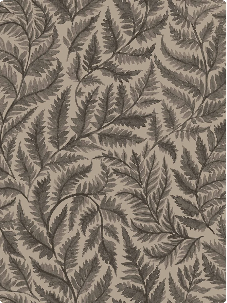 Ferns