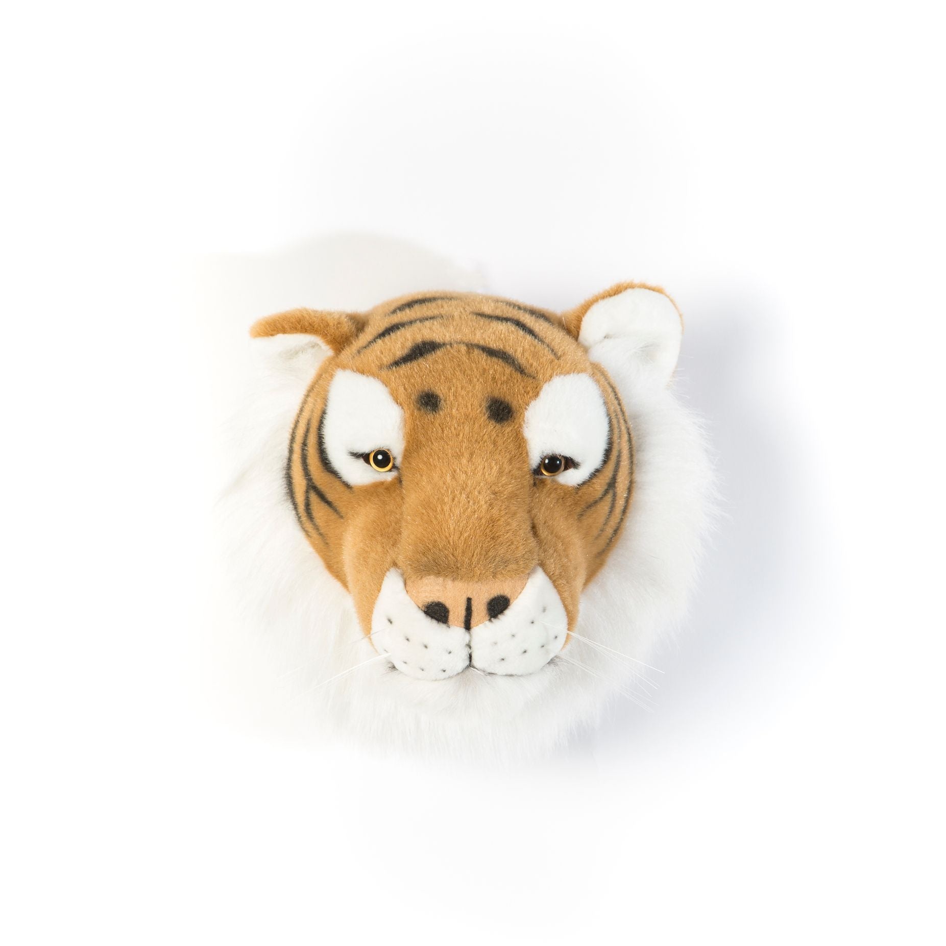 Animais, Tigre Félix