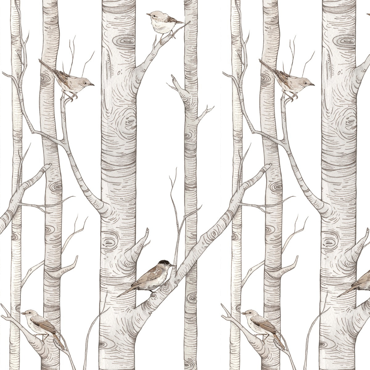 Papel de Parede Birch Forest