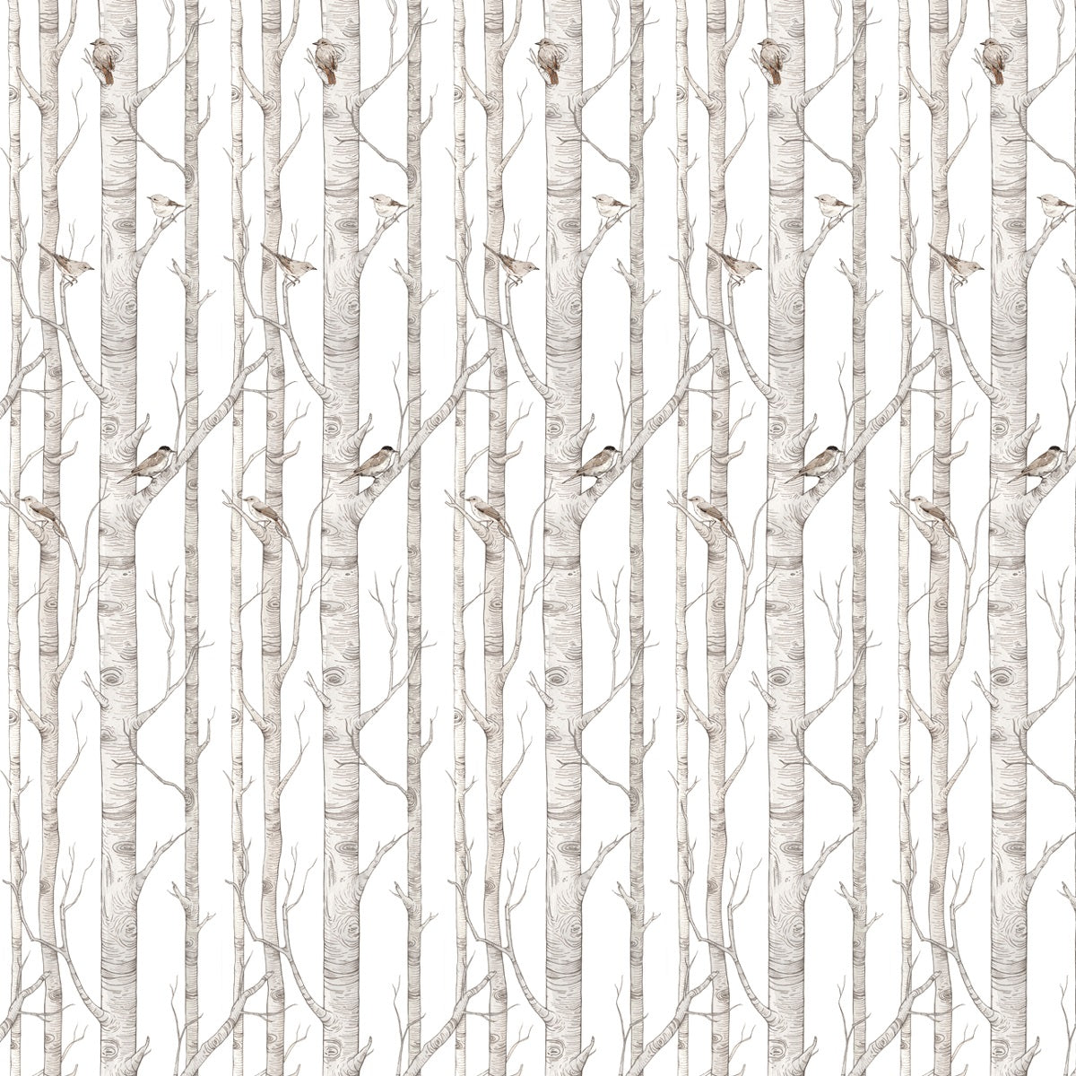 Birch Forest Wallpaper