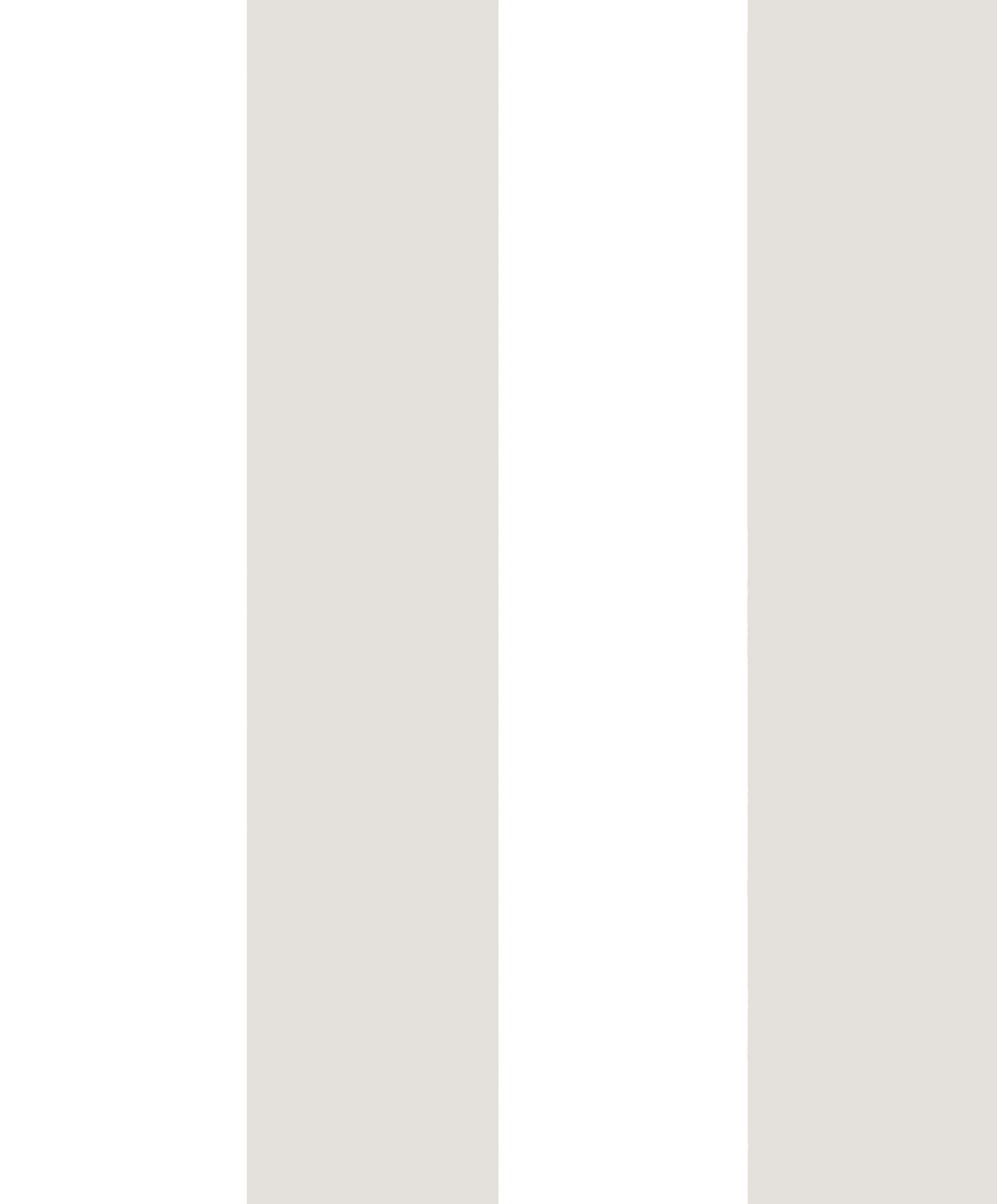 Papel de Parede Magnus