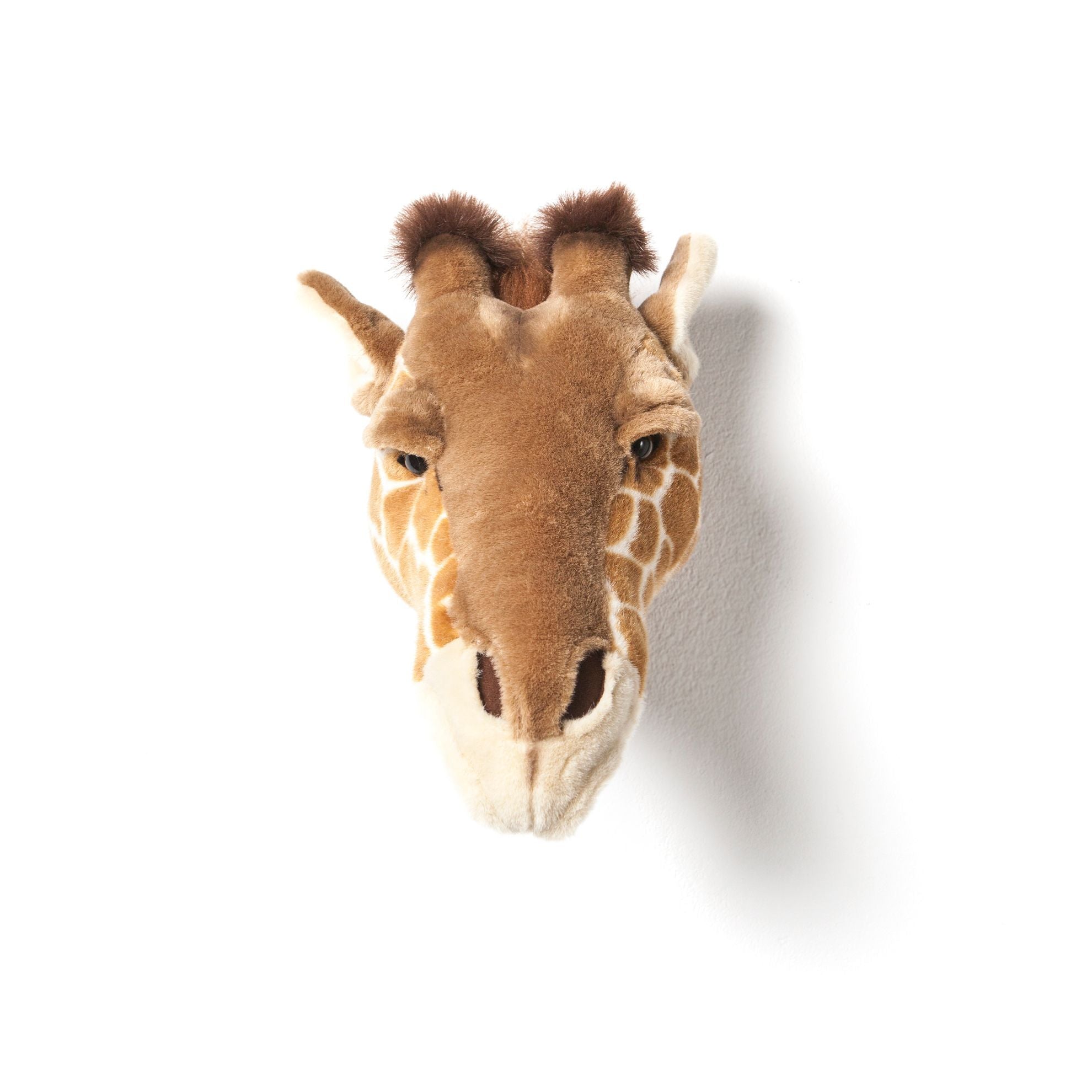 Animais, Girafa Ruby