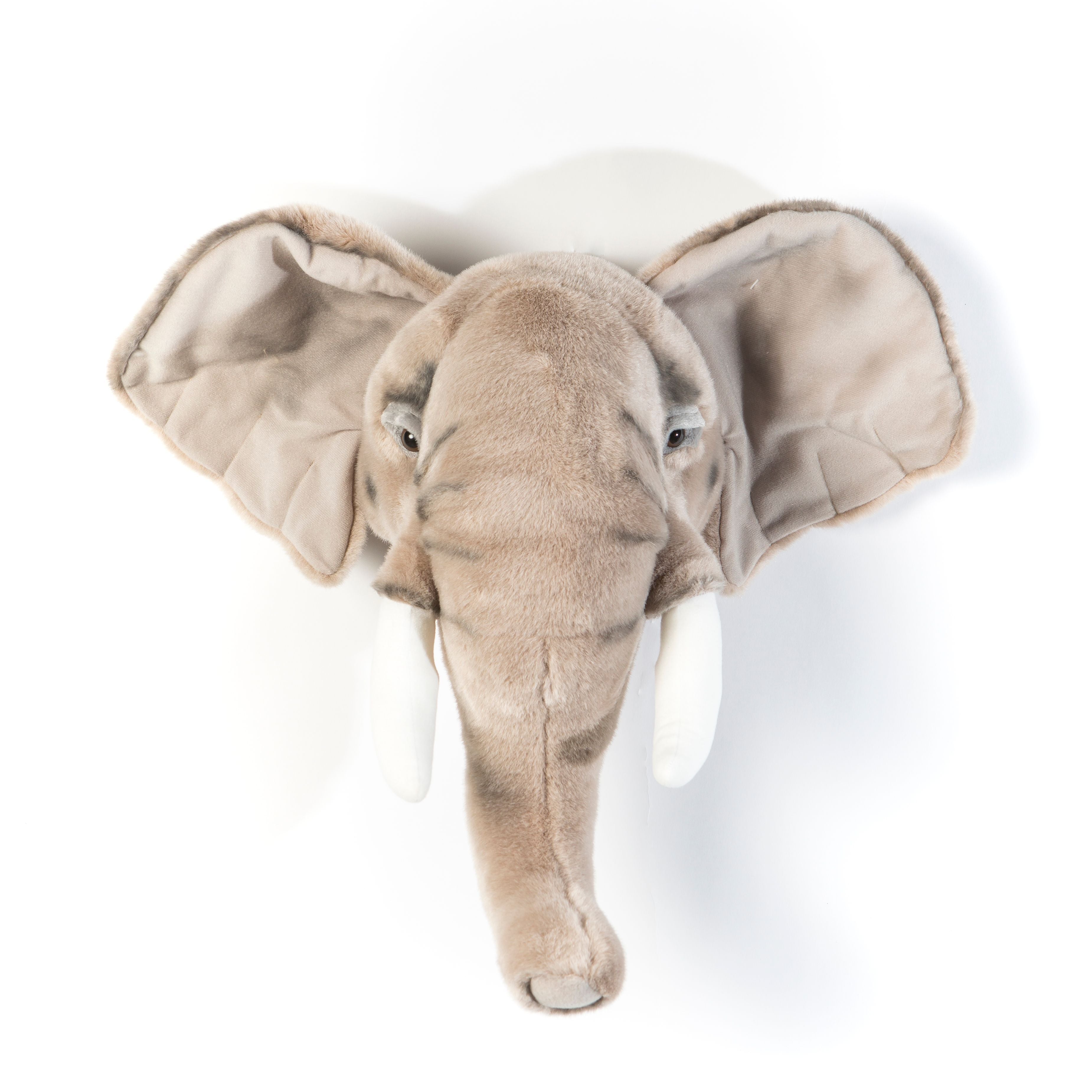 Animais, Elefante George