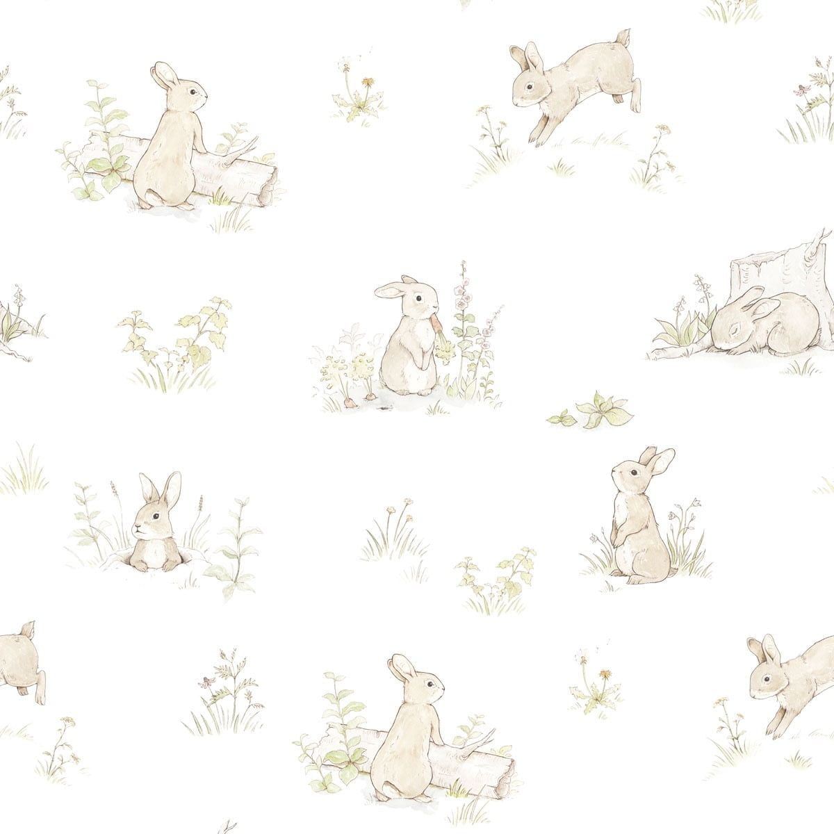 Papel de Parede Rabbit Day