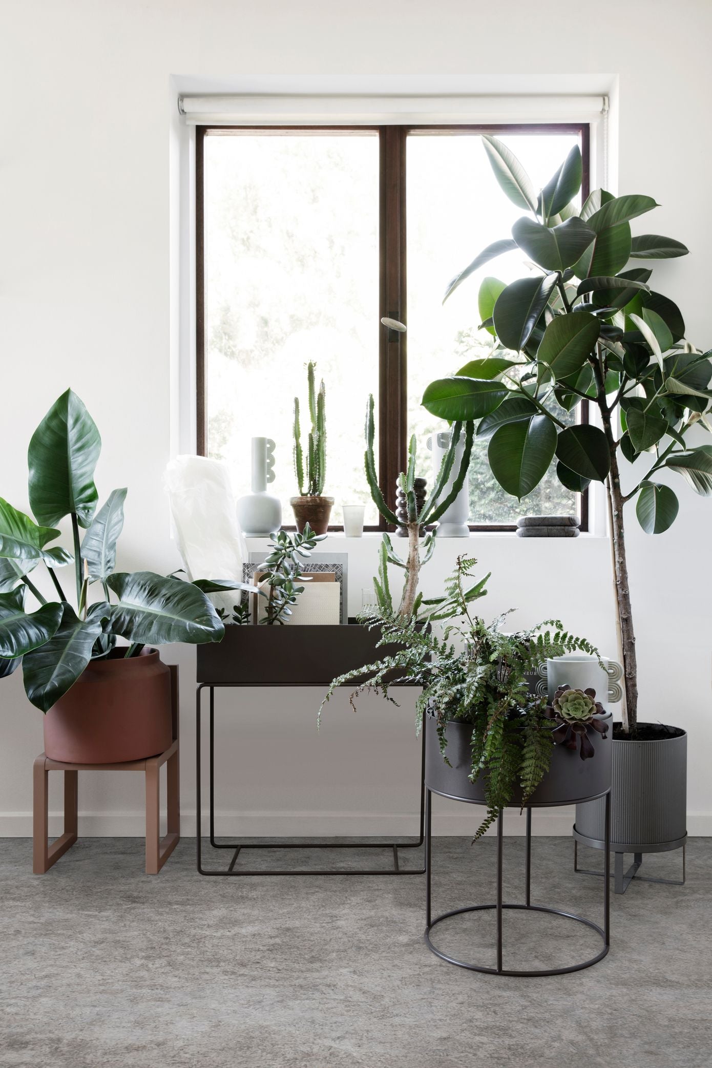 plant box