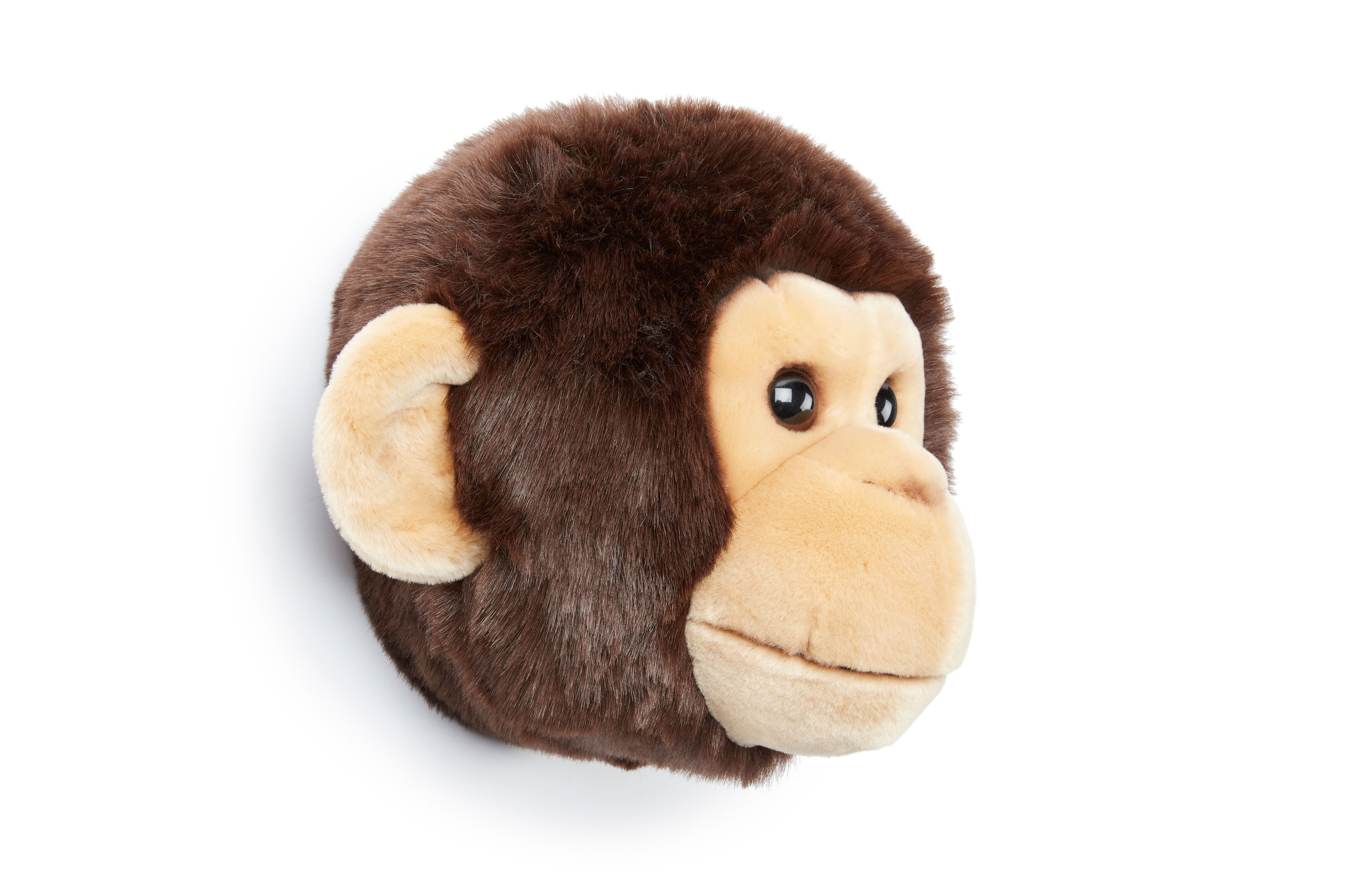 Animals, Monkey Joe
