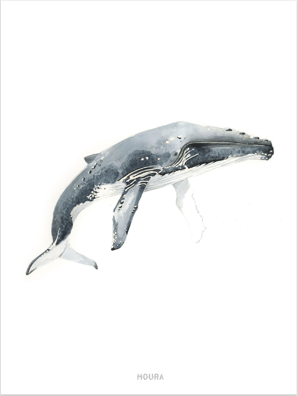 The Giants of the Ocean Illustrations