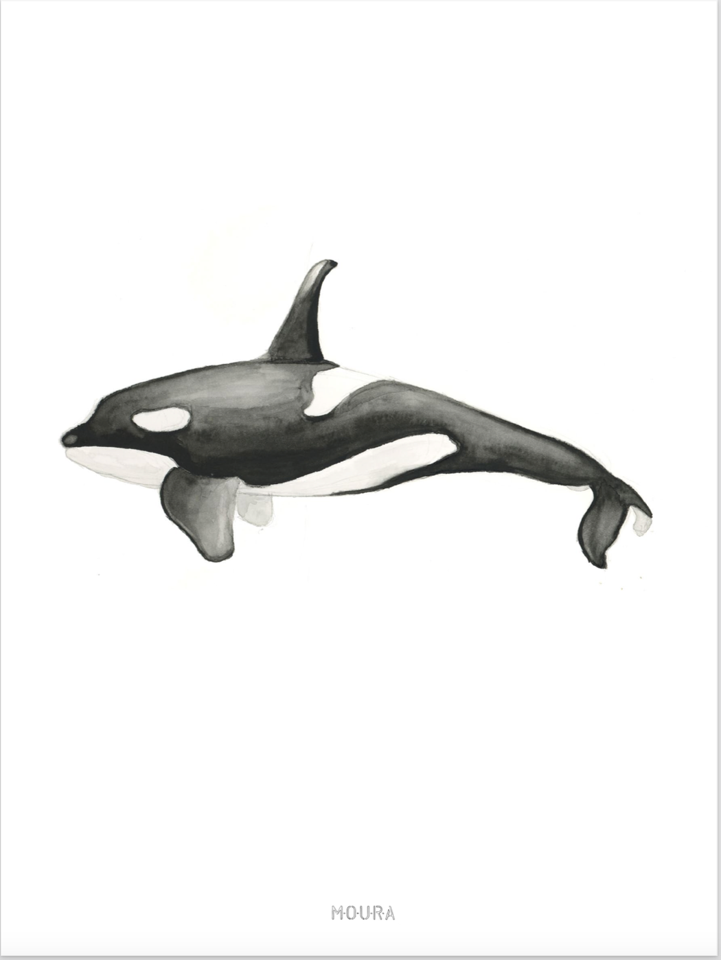 The Giants of the Ocean Illustrations