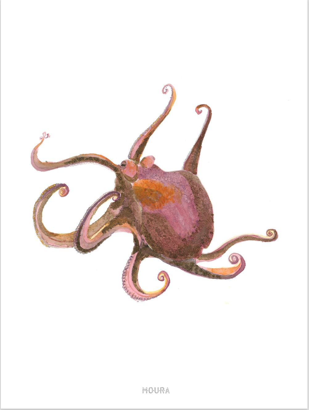The Giants of the Ocean Illustrations