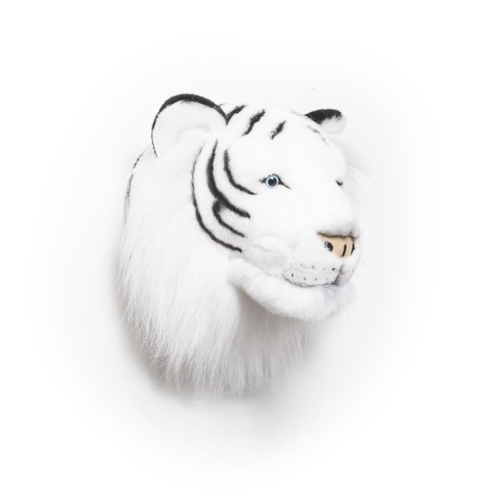 Animais, Tigre Branco Albert