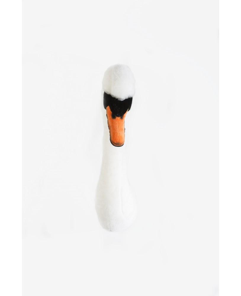 Animais, Cisne Joana