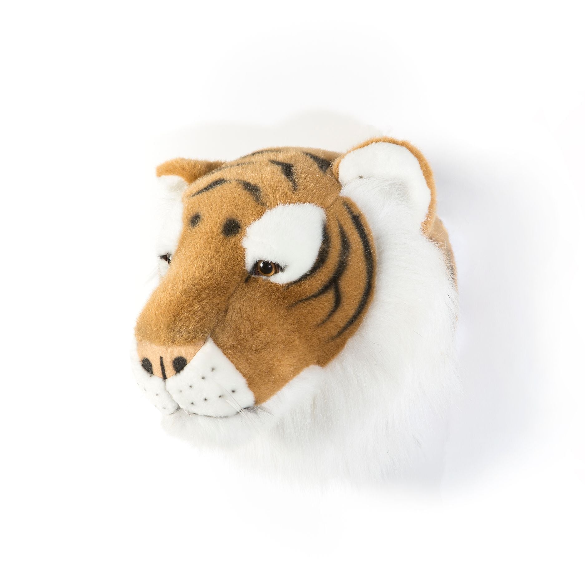 Animais, Tigre Félix