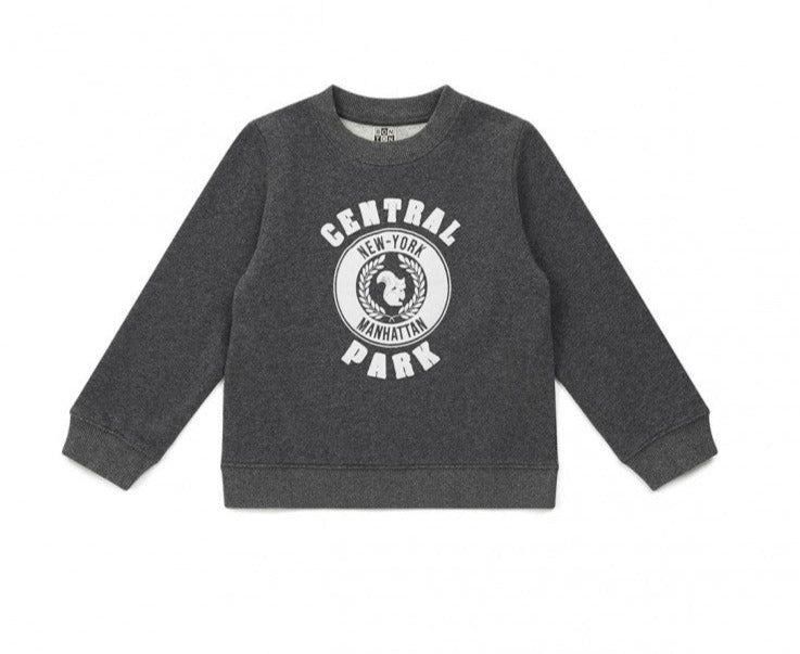"Central Park" sweatshirt