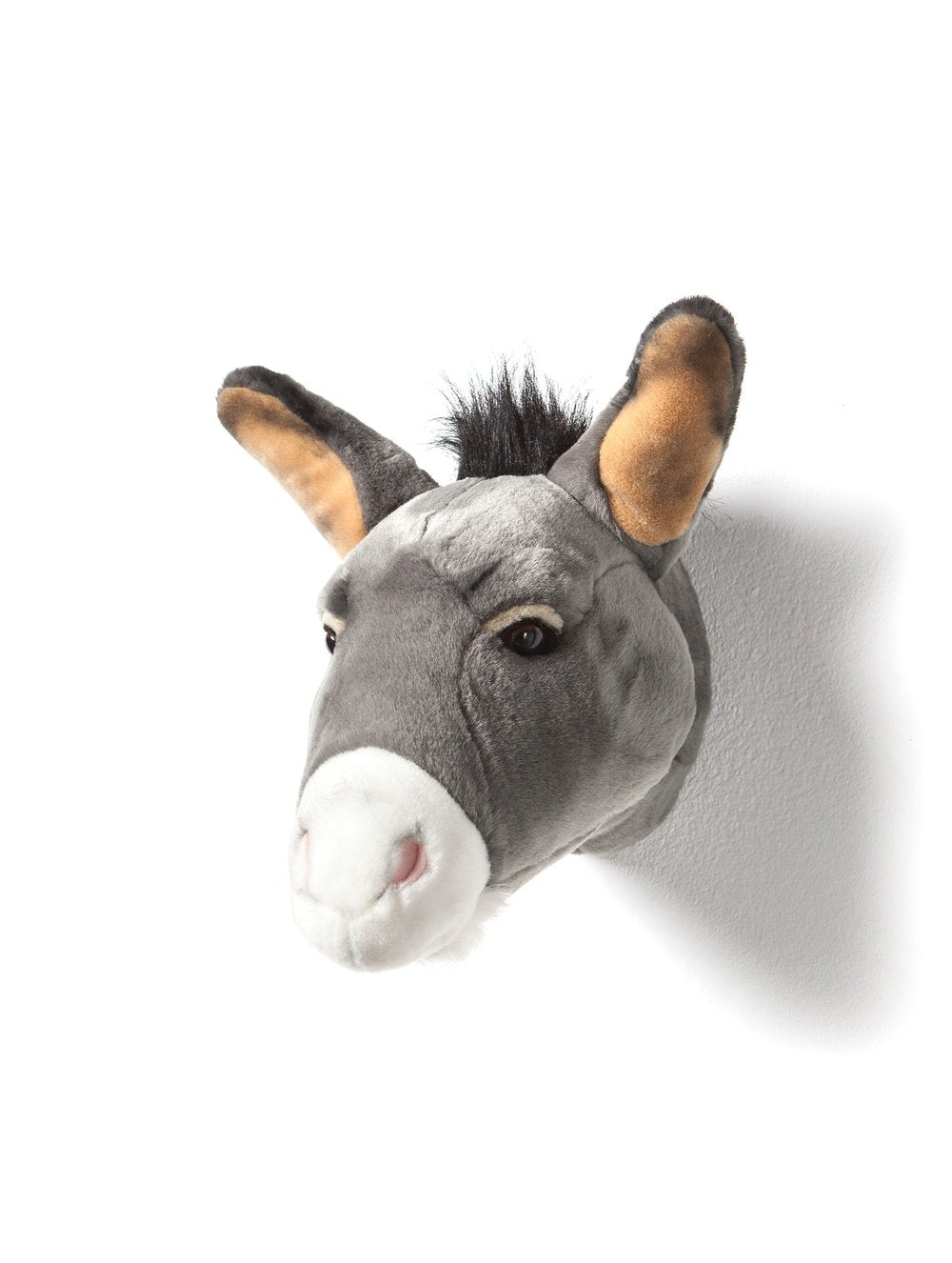 Animals, Donkey Francis