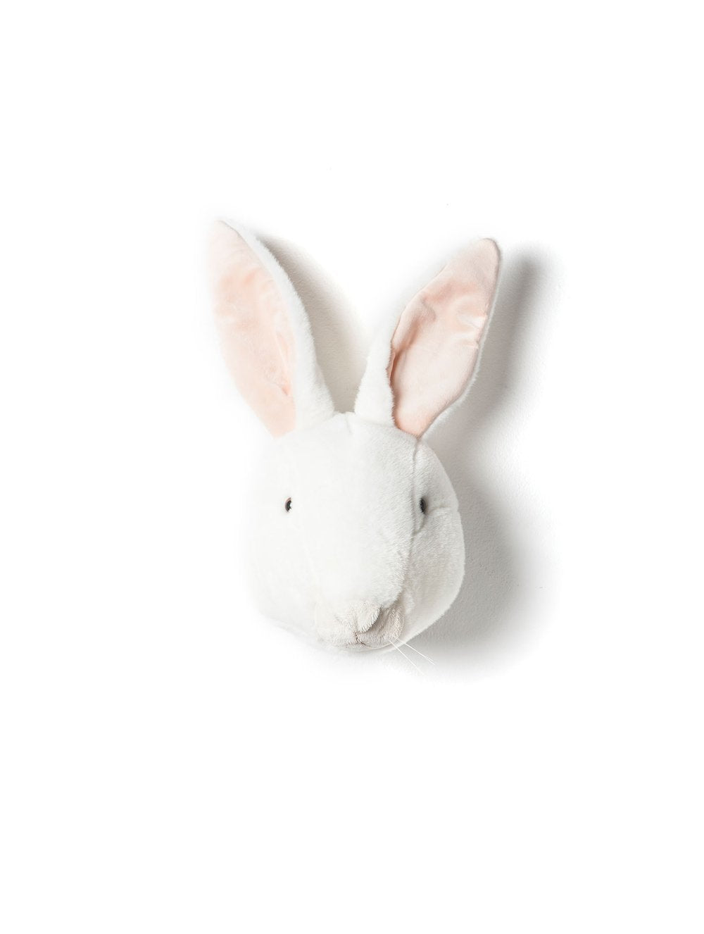Animals, Bunny Alice